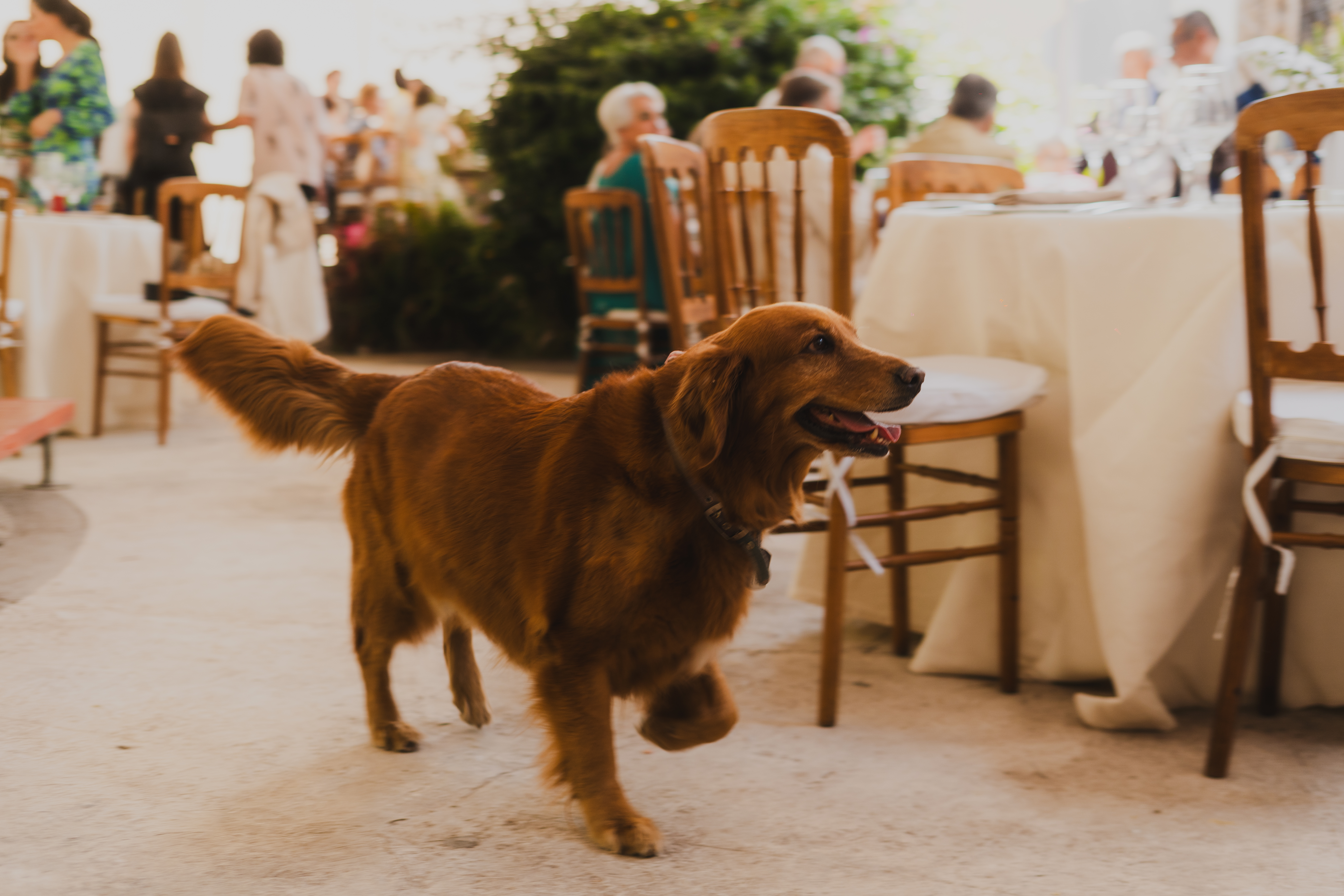 Foto de boda